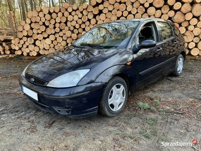 używany Ford Focus 2004r. 1,6 Gaz Tanio - Możliwa Zamiana! Mk1 (199…