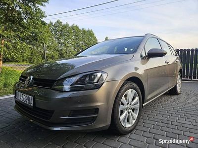 Szary Używany 2015 VW Golf VII Kombi | 48 300 zł (Drogi)