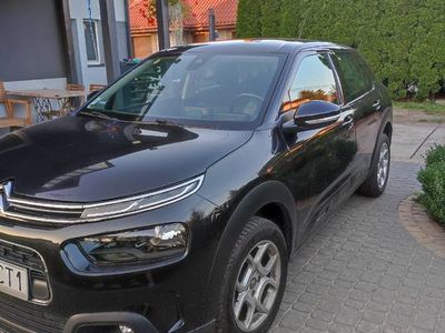 używany Citroën C4 Cactus 2018 po lifcie