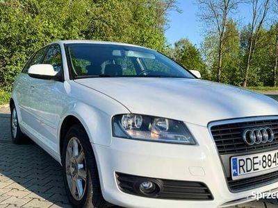 Używany 2010 Audi A3 | 23 999 zł (Dość drogi)