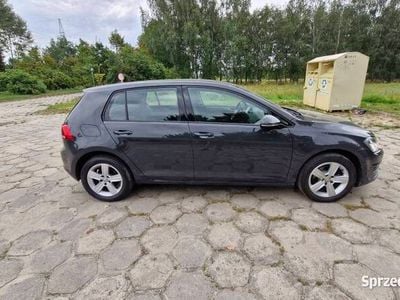 VW Golf VII