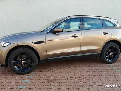 Brązowy Używany 2016 Jaguar F-Pace SUV | 99 000 zł