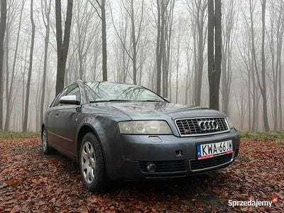 Szary Używany 2004 Audi A4 Kombi | 6000 zł (Dobra cena)