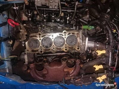 Używany 2005 Fiat Seicento Hatchback | 2400 zł (Uczciwa cena)