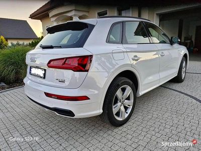 Używany 2019 Audi Q5 SUV | 125 999 zł (Drogi)