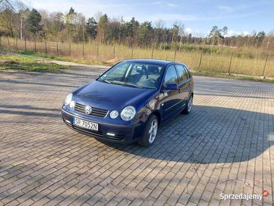 używany VW Polo Polo IV 1.4 TDI 75 KMIV 1.4 TDI 75 KM