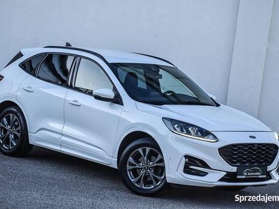Używany Ford Kuga ST-Line X 2020 Biały SUV