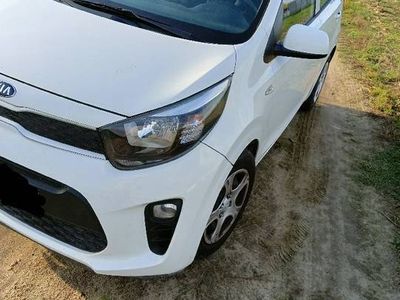 używany Kia Picanto z 2020 roku 1.0 benzyna