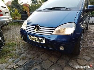 Niebieski Używany 2005 Mercedes Vaneo Minivan | 15 600 zł