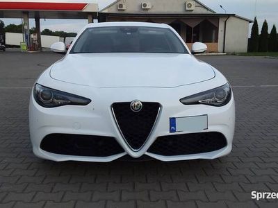 Używany Alfa Romeo Giulia Veloce 280 KM (205 kW) 2017 Sedan/Limuzyna