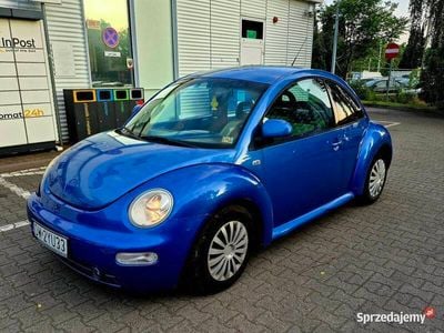 VW Beetle