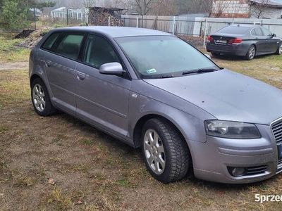 Używany 2005 Audi A3 | 15 000 zł (Dość drogi)