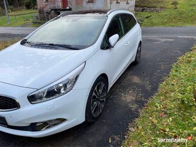 używany Kia Ceed 1.6CRDi 2012r Full opcja