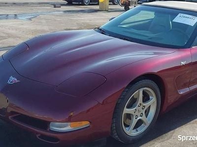 Używany 2003 Corvette C5 Kabriolet | 89 000 zł