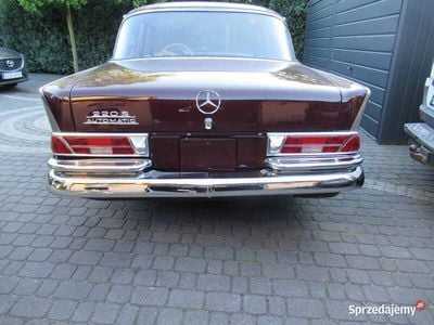 Używany 1965 Mercedes W111 | 85 000 zł