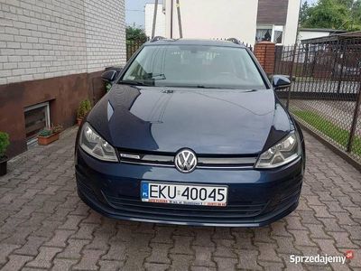 VW Golf VII