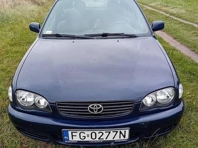 Używany Toyota Corolla 1999 Niebieski Hatchback