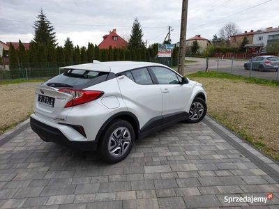 używany Toyota C-HR 