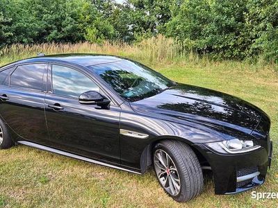 Używany Jaguar XF R 2019