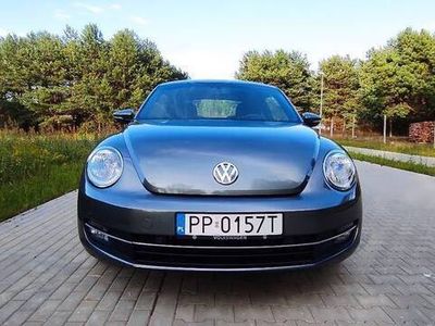 VW Beetle