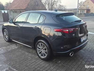 Czarny Używany 2019 Alfa Romeo Stelvio SUV | 80 000 zł