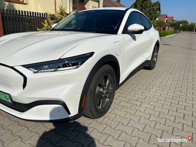 Używany 2021 Ford Mustang Mach-E SUV | 170 000 zł