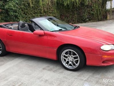 Czerwony Używany 2001 Chevrolet Camaro Kabriolet | 18 300 zł