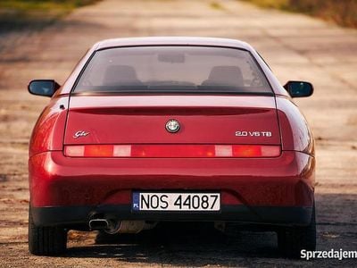Używany Alfa Romeo GTV 1995 Coupe