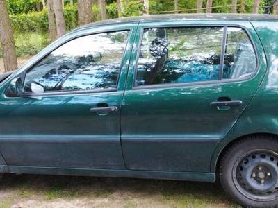 VW Polo