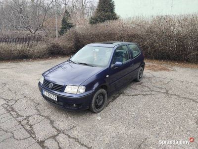 VW Polo
