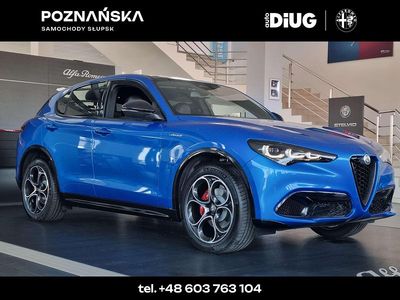 używany Alfa Romeo Stelvio MY24 VELOCE 2.0 GME 280 KM AT8 AWD