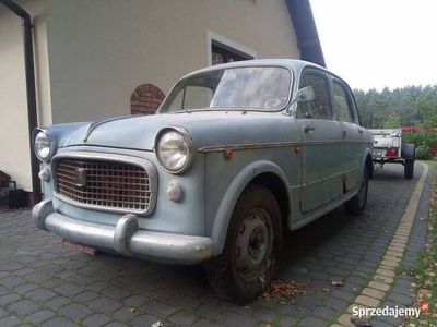 używany Fiat 1100 Millecento 103 H , 1961 rok