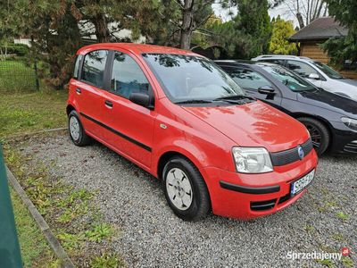 używany Fiat Panda Krajowy II (2003-2012)