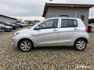 używany Suzuki Celerio 