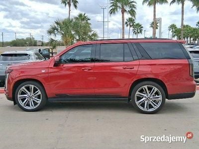 Używany Cadillac Escalade 2025 Czerwony SUV