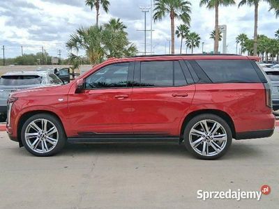 Czerwony Używany 2025 Cadillac Escalade SUV | 450 000 zł