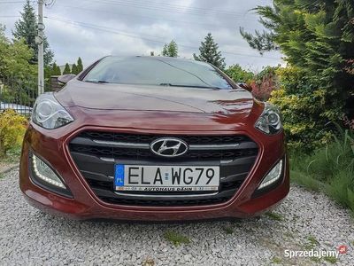 Używany Hyundai i30 2016 Bordowy Hatchback