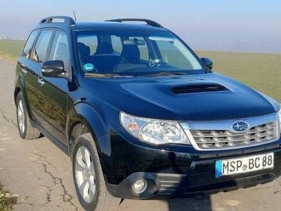 Używany Subaru Forester 2011 SUV