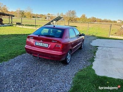 Czerwony Używany 2005 Citroën Xsara Hatchback | 3600 zł