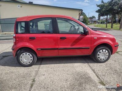 używany Fiat Panda 1.1 Benzyna 2006