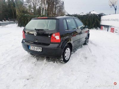 VW Polo