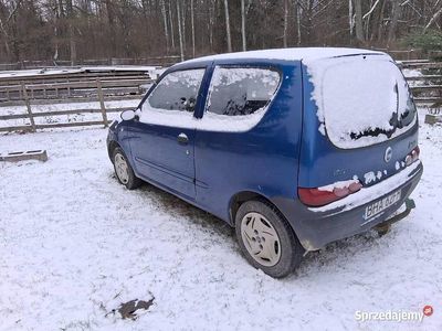 Niebieski Używany 2004 Fiat Seicento Hatchback | 1700 zł (Dobra cena)
