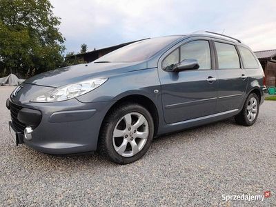 Szary Używany 2006 Peugeot 307 Kombi | 20 800 zł