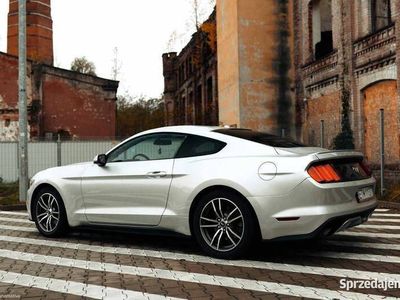 używany Ford Mustang 2.3 EcoBoost 2017 PREMIUM