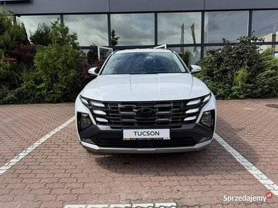 Biały Używany 2024 Hyundai Tucson SUV | 149 950 zł