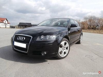 Używany 2006 Audi A3 | 22 500 zł (Drogi)