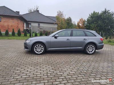 używany Audi A4 B9 190 PS S-Tronic