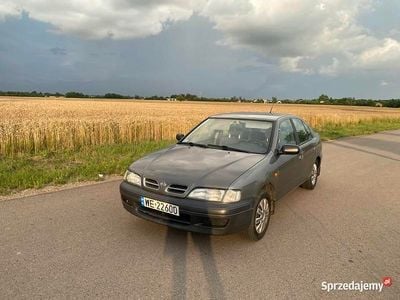 Używany 1996 Nissan Primera | 3650 zł