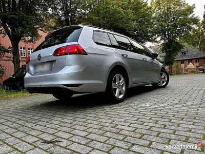 Używany 2013 VW Golf VII | 24 900 zł (Uczciwa cena)