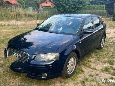 Używany Audi A3 2005 Hatchback